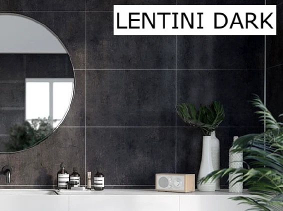 LENTINI DARK GROUT LINES