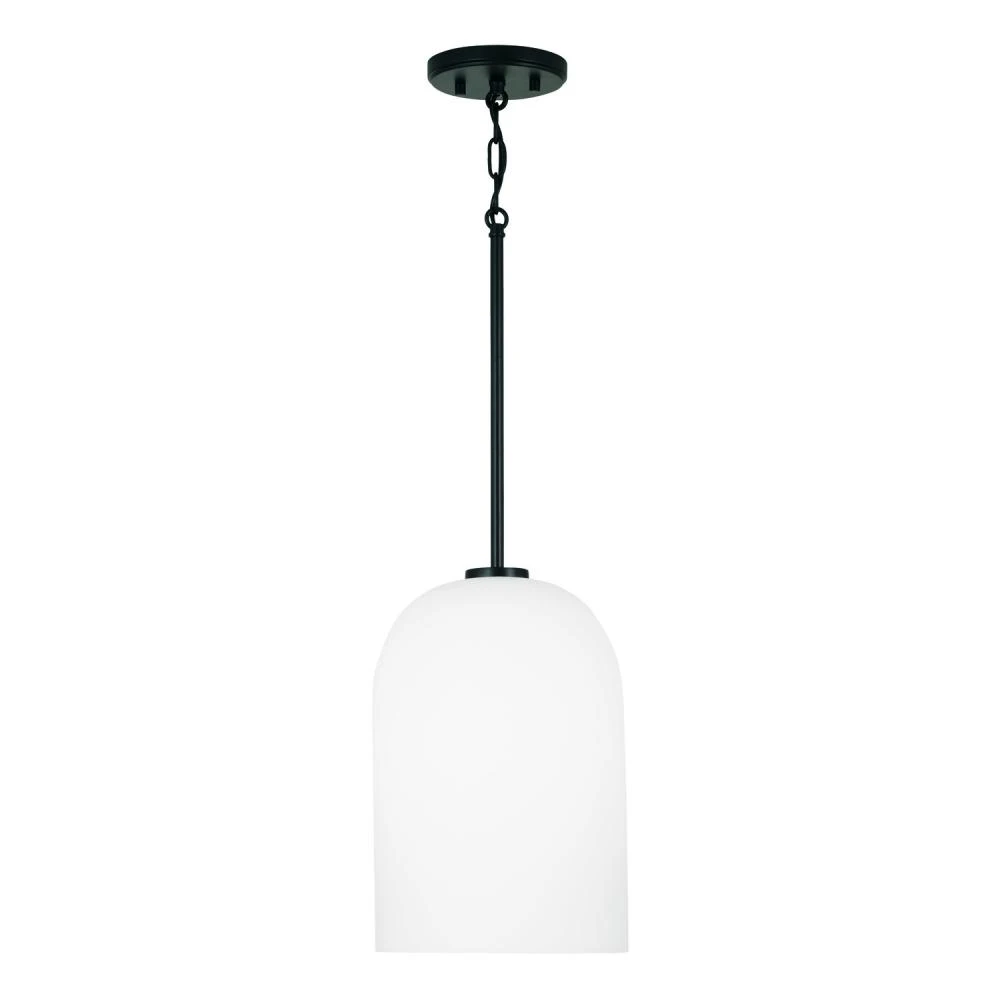 1-Light Pendant (9RNZ1)